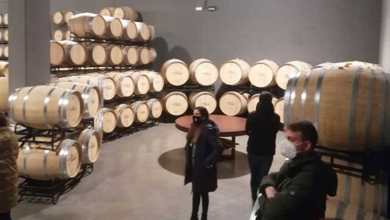 plan-formacion-2020-visitas-a-pie-de-vina-bodegas-tobia-03